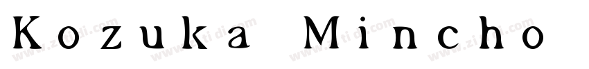 Kozuka Mincho Pr6N B字体转换